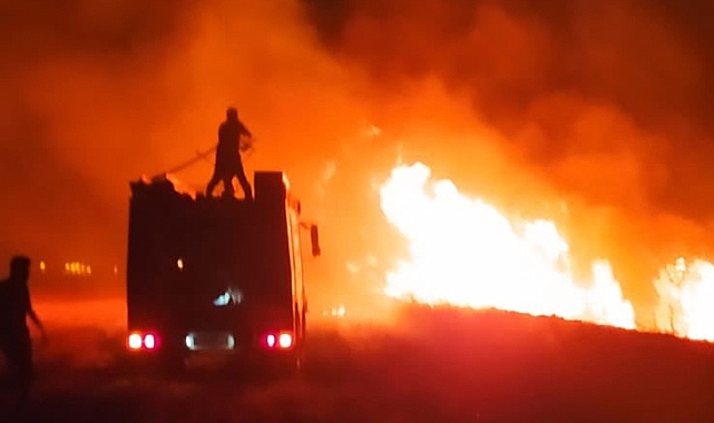 Akçakale'de anız yangını!