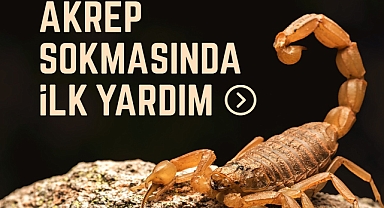 Akrep sokmalarına karşı neler yapılmalı?