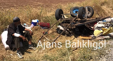 At arabasıyla kaza yapan yaşlı adam yardım bekliyor