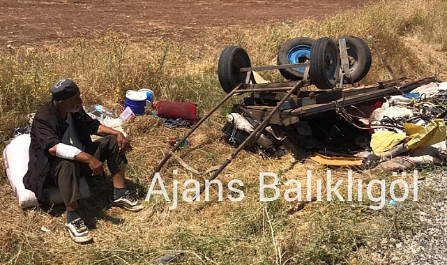 At arabasıyla kaza yapan yaşlı adam yardım bekliyor