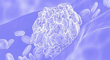 Berberine kan pıhtılarını önlemeye yardımcı olabilir mi?