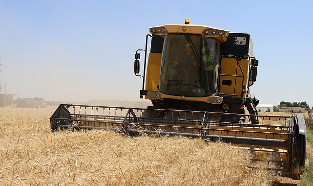 Buğday ve arpa alım fiyatları açıklandı