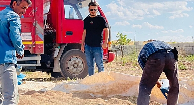 Genç çiftçi Esat Gerger: Fiyatlar düşük, çiftçi üretimi bırakıyor