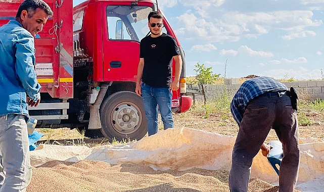 Genç çiftçi Esat Gerger: Fiyatlar düşük, çiftçi üretimi bırakıyor