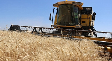 Hububat ve bakliyatta son durum! Buğday ne kadar oldu?