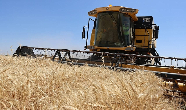 Hububat ve bakliyatta son durum! Buğday ne kadar oldu?