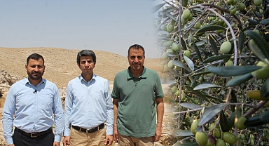 İl Başkanı Özaslan: Boş duran arazileri Şanlıurfa'ya kazandıralım