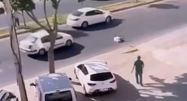 Kaçan kurbanlık koyun, araç çarpması sonucu telef oldu