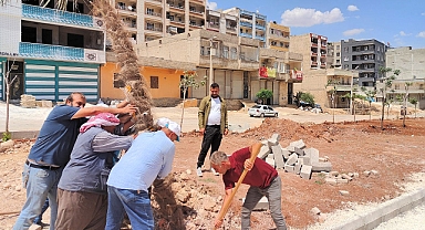 Kito Deresi'nde çalışmalar yeniden başladı