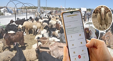 Kurbanlık satışlarında yeni dönem! 