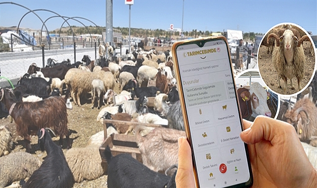 Kurbanlık satışlarında yeni dönem! 