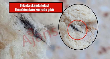 Şanlıurfa’da ekmeğin içinden fare kuyruğu çıktı!