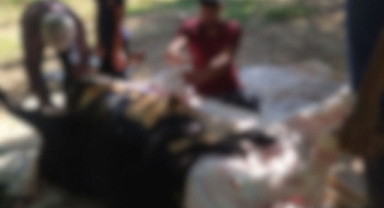 Şanlıurfa'da kaç acemi kasap kendini kesti