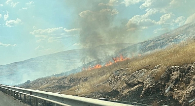 Şanlıurfa'da mera alanında çıkan yangın yayılıyor