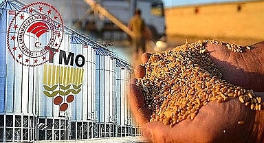 Şanlıurfa’da TMO alım tarihleri belli oldu