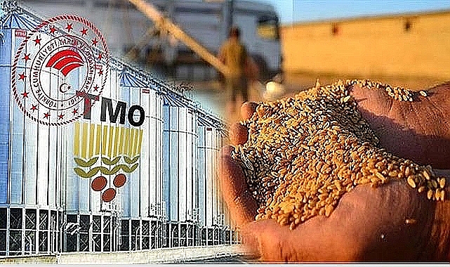 Şanlıurfa’da TMO alım tarihleri belli oldu