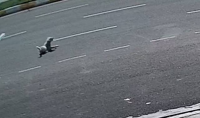 Şanlıurfa polisinden takdir toplayan davranış