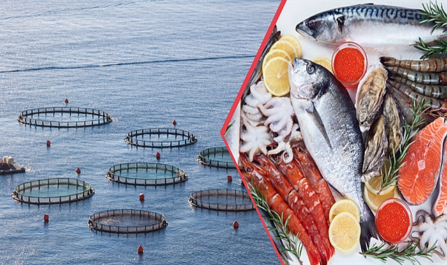 Su ürünlerinde yeni üretim rekoru!