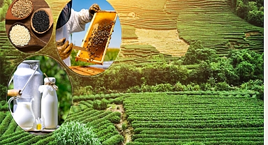 Tarımsal destek ödemesi çiftçilerin hesaplarına aktarılıyor!