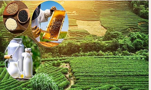 Tarımsal destek ödemesi çiftçilerin hesaplarına aktarılıyor!