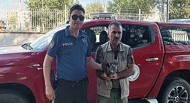 Urfa'da bulunan Kızıl Şahin tedavi altına alındı