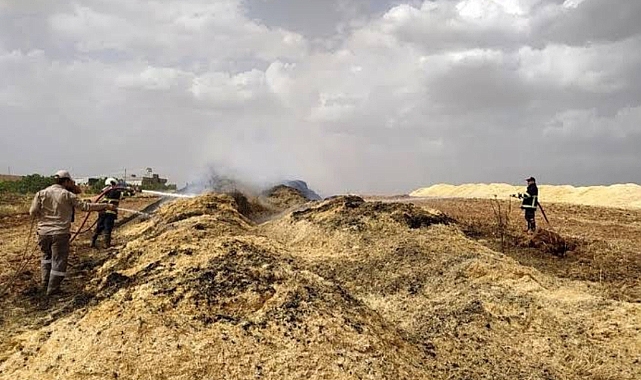 Urfa'da çıkan anız yangını tonlarca samanı yaktı!