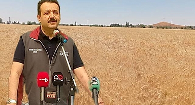 Urfa'da geliştirilen buğday ve arpa tohumları tanıtıldı