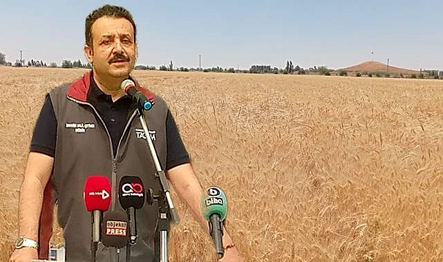Urfa'da geliştirilen buğday ve arpa tohumları tanıtıldı