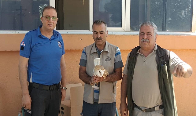 Urfa'da vatandaş tarafından bulunan Peçeli Baykuş tedaviye alındı