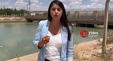 Vekil Dilan Kunt Ayan: Bu çocukları ölüme terk etmeyin!