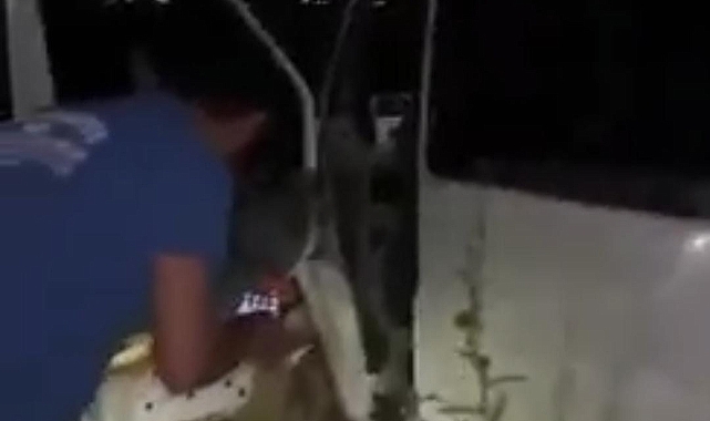 Viranşehir-Mardin yolunda feci kaza!