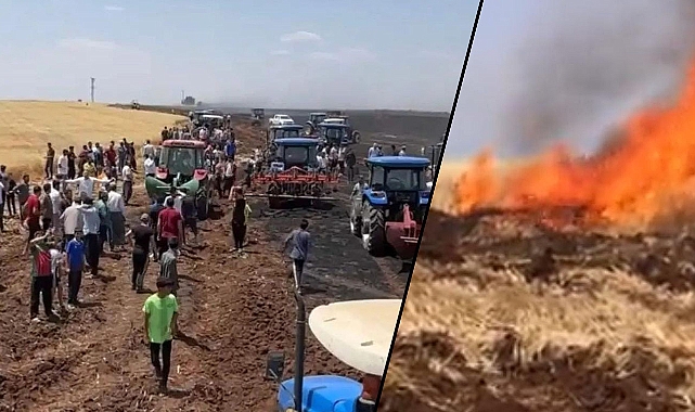 Biçerdöverden çıkan kıvılcım buğday ekili tarlayı kül etti