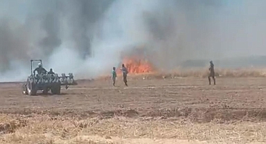 Bir yangın haberi de Hilvan'dan! 60 dönüm yandı