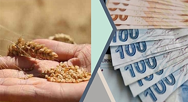 Depremlerden etkilenen iller için 75 milyon liralık ek bütçe verildi