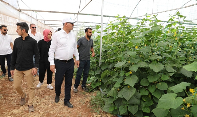 Eyyübiye Sera Kent hedefine ulaşıyor