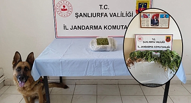 Hilvan’da operasyon! 1 tutuklama