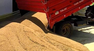 Hububat ve bakliyatta son durum! Buğday liradan satıldı?