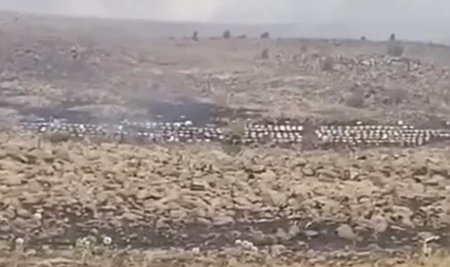 Merada başlayan yangın arı kovanlarını yaktı