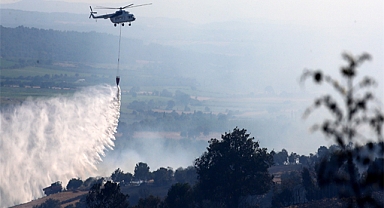 Orman yangınlarına yönelik açıklama! Hapis ve para cezası geliyor