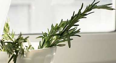 Saç uzaması için biberiye suyu: Gerçekten işe yarıyor mu?