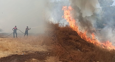 Şanlıurfa'da boş arazide korkutan yangın!
