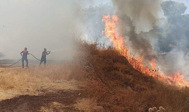 Şanlıurfa'da boş arazide korkutan yangın!