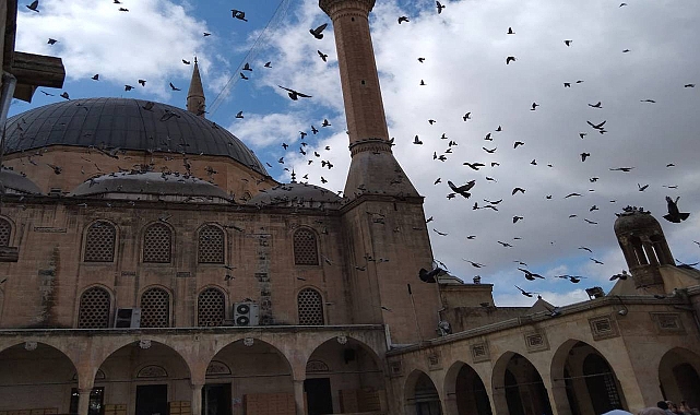 Şanlıurfa’da dün hayatını kaybedenlerin ismi açıklandı