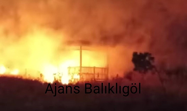 Siverek kent ormanında büyük yangın!