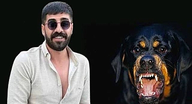 Siverek'te kuduz olayında yeni gelişme! Aile ne dedi?