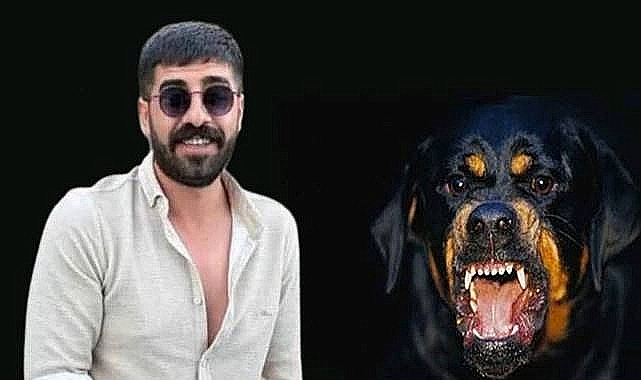 Siverek'te kuduz olayında yeni gelişme! Aile ne dedi?