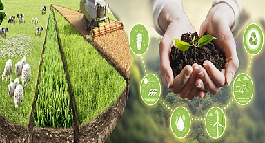 Tarımsal destek ödemeleri bugün hesaplara aktarılıyor!