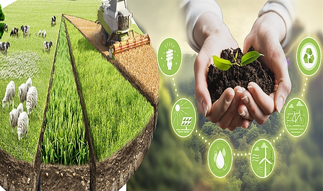 Tarımsal destek ödemeleri bugün hesaplara aktarılıyor!