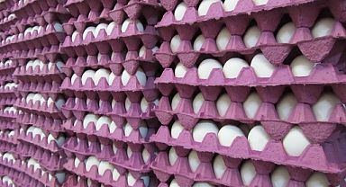 Tayvan’a ihraç edilen yumurtalara ilişkin basın açıklaması! 