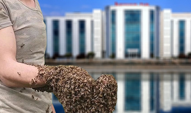 Urfa’da arıların saldırısına uğrayan şahıs hayatını kaybetti